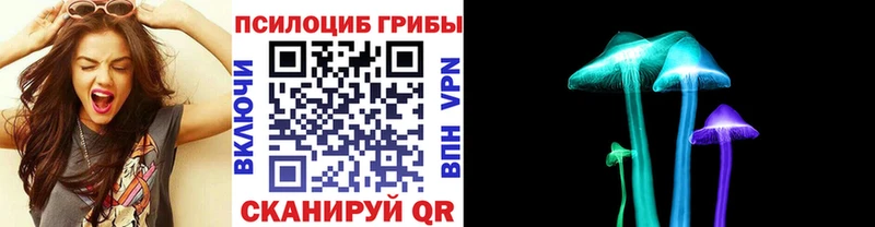 Псилоцибиновые грибы Magic Shrooms хочу наркоту Бакал